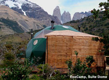 Chile-Patagonia / Torres del Paine-Patagonia deluxe Wildlife Safari